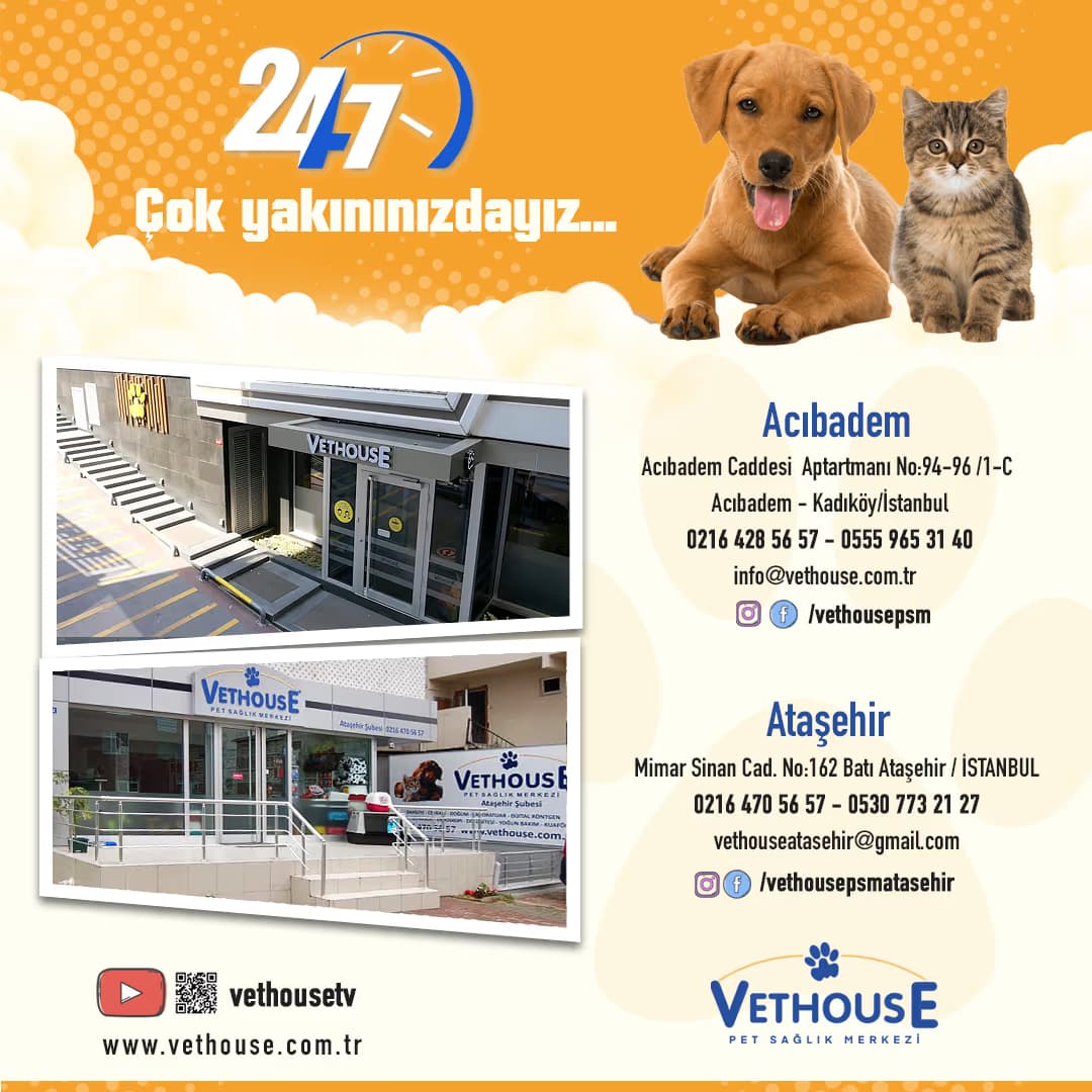 7/24 Acil Veterinerlik Hizmetleri