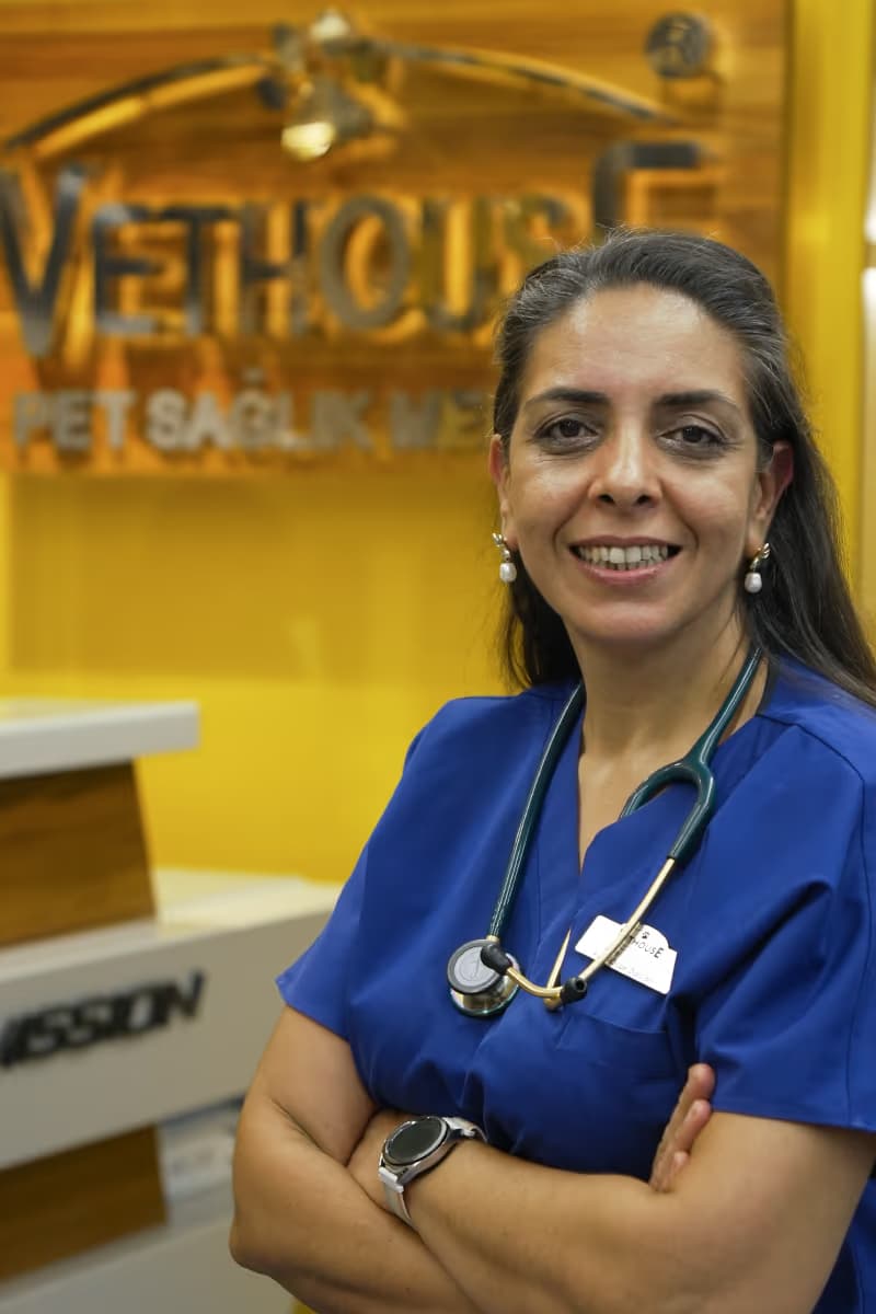 A. Özge DARCAN